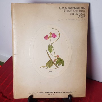 Pasturas mejoradas para regiones tropicales y subtropicales