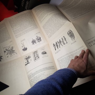Lote 74 fascículos medicina e historia Biohorm  años 60