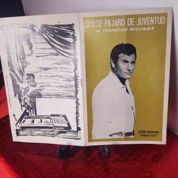 Programa teatro Barcelona dulce pájaro de juventud Arturo Fernández