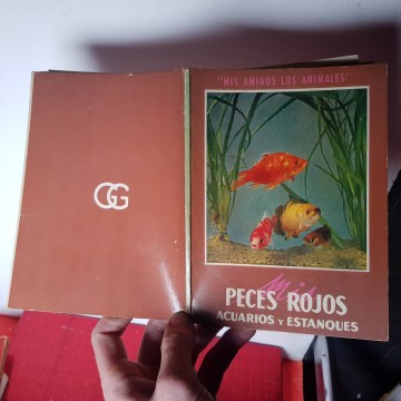 Peces rojos de Acuario y estanque cuidado y reproducción libro comprar