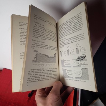 Peces rojos de Acuario y estanque cuidado y reproducción libro comprar
