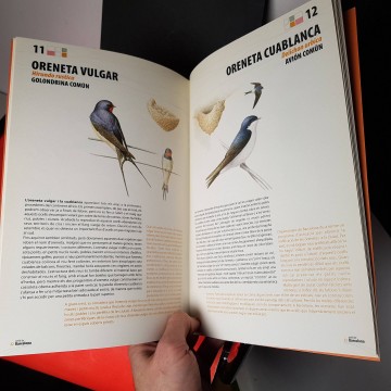 Els ocells de Barcelona llibre CD El Cantar dels ocells en català