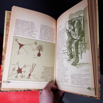 Insomnio estrés y depresión nerviosa medicina natural libros librería