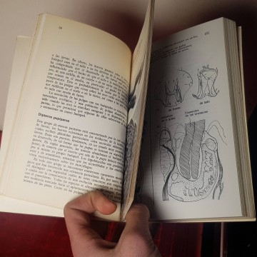 El parasitismo animal libro zoología libros descatalogados librería