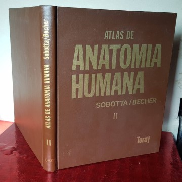 atlas de anatomía humana II Sobotta Becher toray 2  Libro 1974 compra