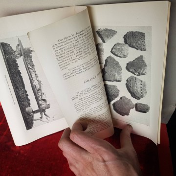 Antiguo Catálogo guía del Museo Arqueológico de Tenerife 1958 librería