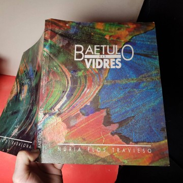 Baetulo els vidres llibre arqueologia Badalona Núria flos Travieso