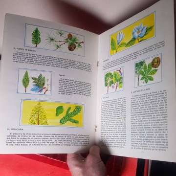 Álbum cromos completo antiguo los árboles enciclopedia en estampas