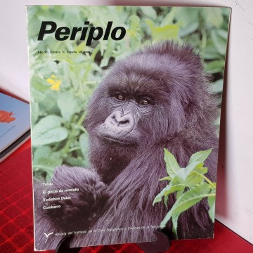 El gorila de montaña primatologia Combarro pontevedra revista periplo