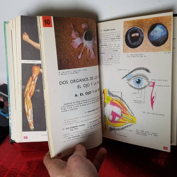 Libros de anatomía antiguos medicina anatomía fisiología higiene