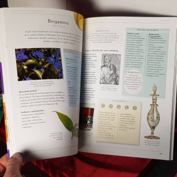 Manual de aromaterapia Clare Walters guía ilustrada de la salud compra