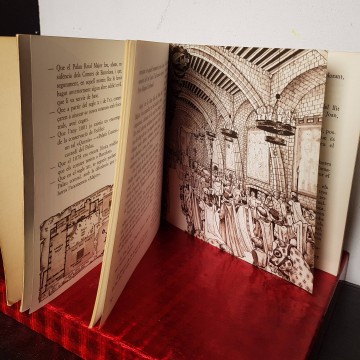 Palau Reial Major de Barcelona Historia il.lustrada Llibre en Català