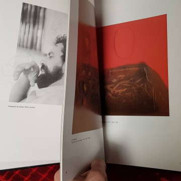 Antoni de Vargas pintor libro catálogo cataleg d'art cuadros pinturas