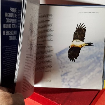 Los mejores destinos para observar los cielos en España Pepo paz saz