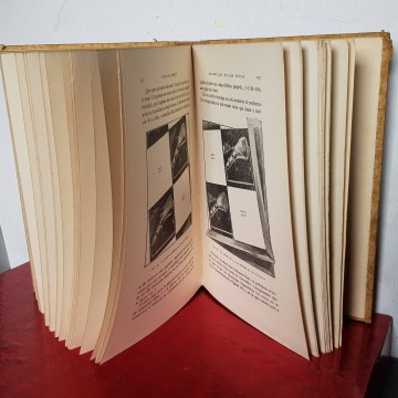 Librería online libro maravillas de las ondas Eduard Rhein libros