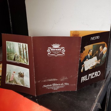 Folleto catálogo maestro palmero Miguel Ángel y Alfredo palmero pintor