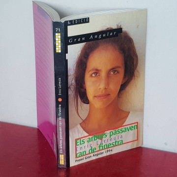 Novel.les juvenils Els arbres passaven an de finestra Enric larreula