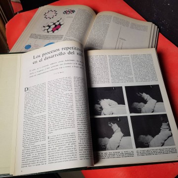 Lote revistas Investigación y Ciencia 1977 completo 2 tomos librería
