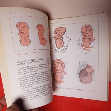 Obstetricia manual medicina libro de Obstetricia librería online