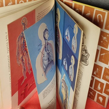 Cómo y por qué editorial Molino libro libros comprar el cuerpo humano