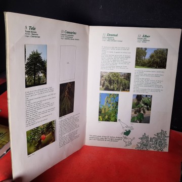 Arbres de Barcelona àlbum de cromos incomplert comprar Libreria