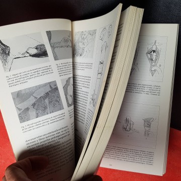 Manual otorrinolaringología libro comprar librería online libros