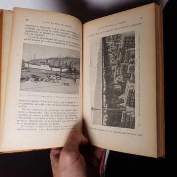 La uva de mesa de Almería, Francisco Rueda Ferrer libro viticultura