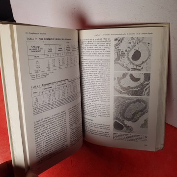 Trasplante de órganos y tejidos libro medicina trasplantes comprar