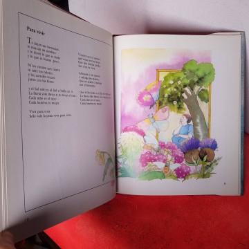 Tiempo de canciones Joan Manuel Serrat libro letras lyrics carme peris