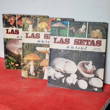 enciclopedia setas guia como encontrar setas caracteristicas libro