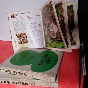 enciclopedia setas guia como encontrar setas caracteristicas libro