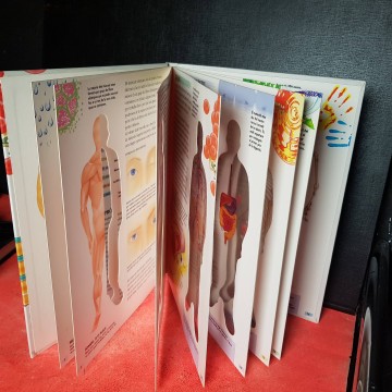 el cos huma llibre anatomia infantil
