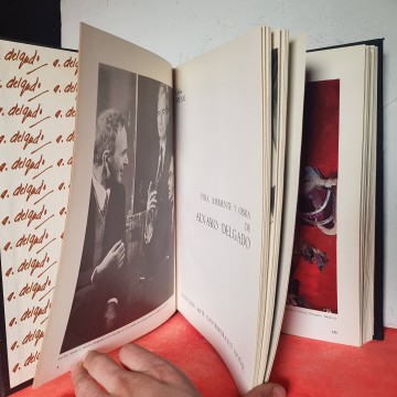 Alvaro delgado pintor catalogo arte libro antiguo usado librería