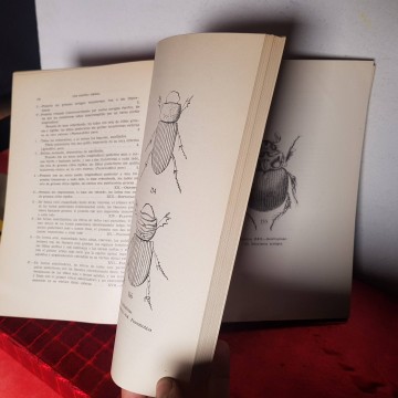 Scarabaeoidea de la fauna ibero-balear y pirenaica libro entomología