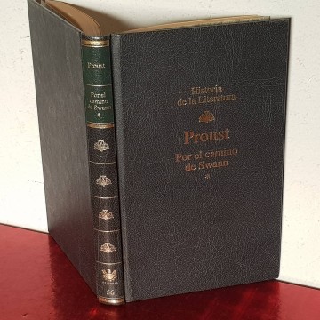 Por el camino de Swann, Marcel Proust clasicos de la literatura libro