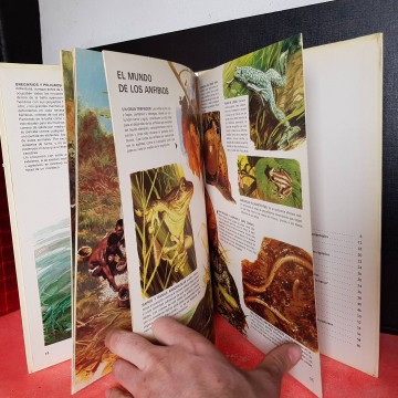Mundo salvaje de los ríos y lagos de África auriga fauna libro libros