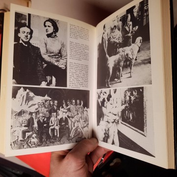 Gala Dalí musa o demonio tim mcgirk biografia libros de arte libreria