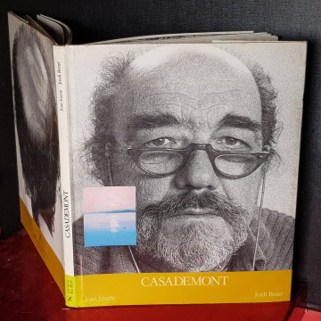 Francesc d'Assís Casademont i Pou pintor cataleg d'art catalegs llibre