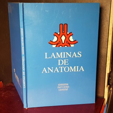 Libros de anatomía antiguos Láminas de anatomía sistema nervioso