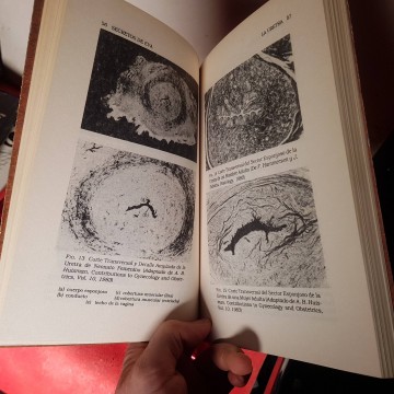 Los secretos de Eva, Josephine Lowndes Sevely libros sexualidad