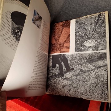 Joan Josep Tharrats llibre pintures cataleg obres rosa victoria gras