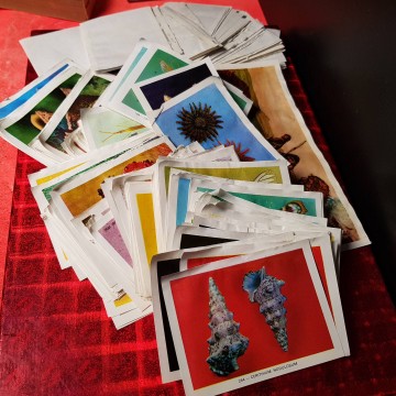 Lote cromos geo-ciencias despegados cromos antiguos librería online