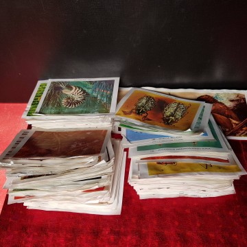 Lote cromos geo-ciencias despegados cromos antiguos librería online