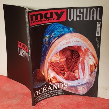Muy interesante visual, Océanos fotografía subacuatica submarinismo