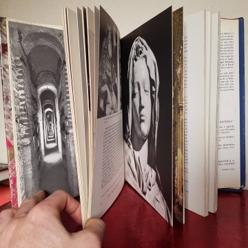Basílica de san pedro de roma libro comprar libros cristianos