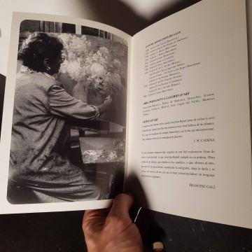Josefina Ripoll pintora cataleg exposició sala comas 2001 catalogo art