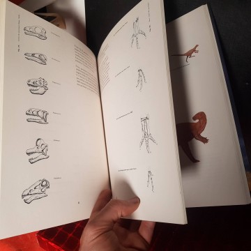 EL MÓN DELS DINOSAURES llibre cataleg en catala llibreria online