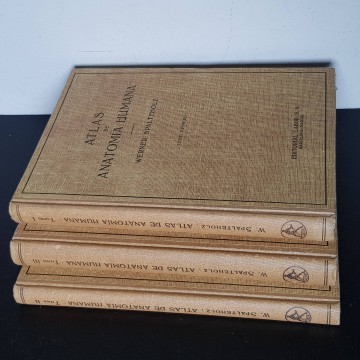 ATLAS DE ANATOMÍA HUMANA, WERNER SPALTEHOLZ 1944 3 tomos medicina