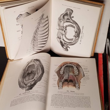 ATLAS DE ANATOMÍA HUMANA, WERNER SPALTEHOLZ 1944 3 tomos medicina