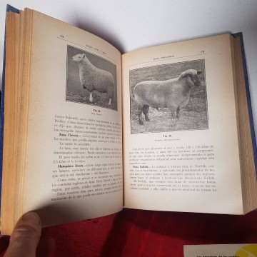 GANADO LANAR Y CABRÍO, SANTOS ARÁN. libros antiguos ramadería